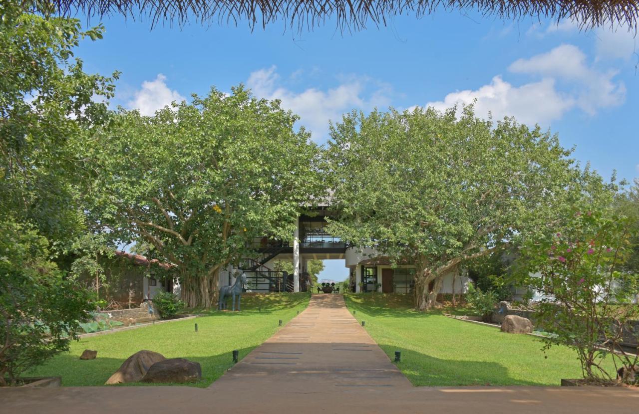 The Elephant Corridor Hotel Sigiriya Exteriör bild